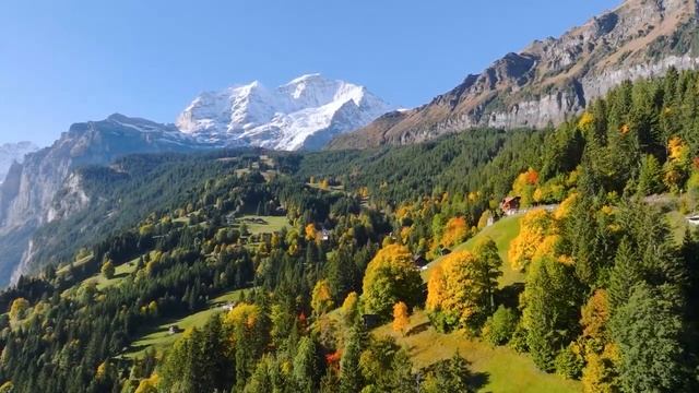 Прекрасные фортепианные мелодии помогают исцелить сердце?Музыка помогает глубоко расслабиться