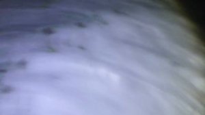 Подводная охота на  Рязанской  ГРЭСС. Новомичуринск.Амуры судаки на русле.