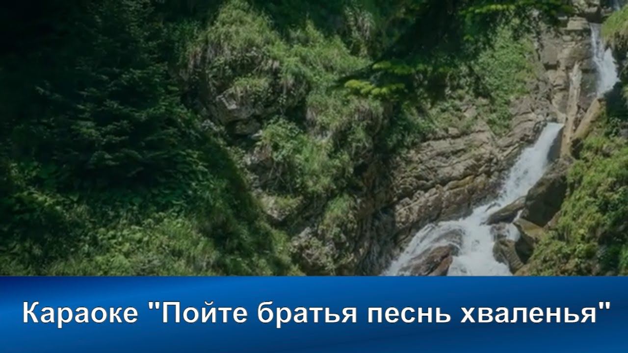 № 41 Пойте , братья, песнь хваленья смотреть онлайн