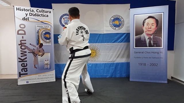 Tipos de movimientos en las formas del TaeKwon-Do ITF con Rodolfo E. Castillo - Chong-Ji Tucuman смотреть онлайн