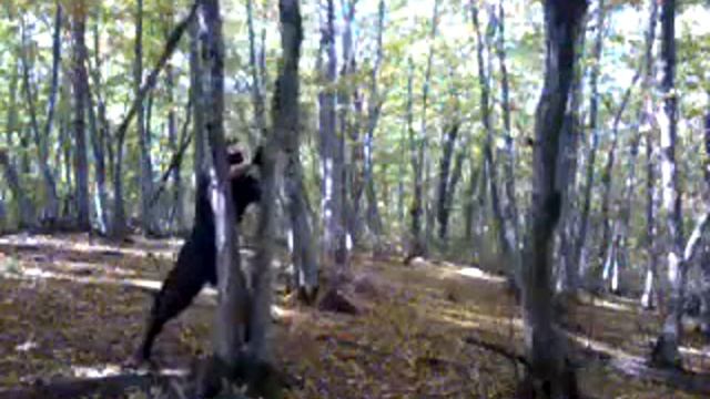 Нн ИВАНОВ ( МОТИВАЦИИ - 4 ) 2020 смотреть онлайн