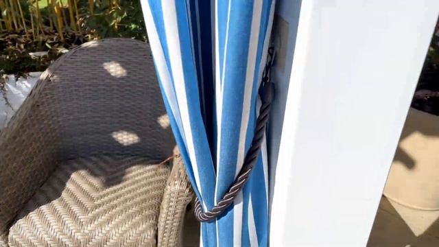 Sun Acclimation of Potted Palms and Tour! смотреть онлайн