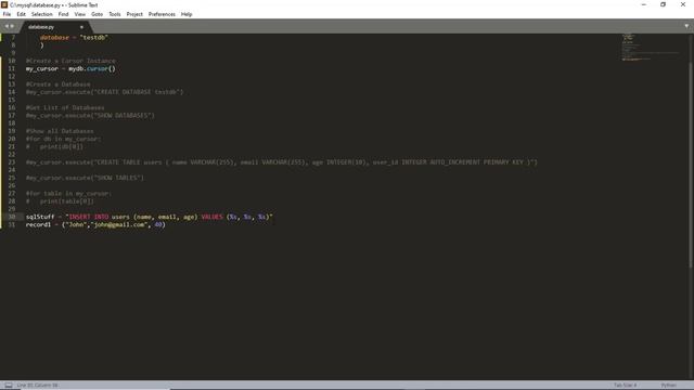 #2.12. Insert One Record Into Table - #MySQL & Python смотреть онлайн