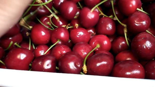 Грибные истории: рассказы о приключениях