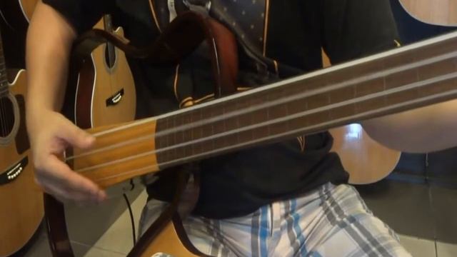 Chestone Silent Guitars video demo смотреть онлайн