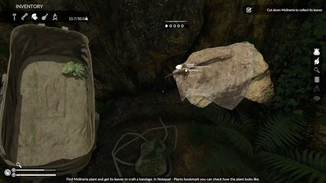 Green Hell - Game Intro смотреть онлайн