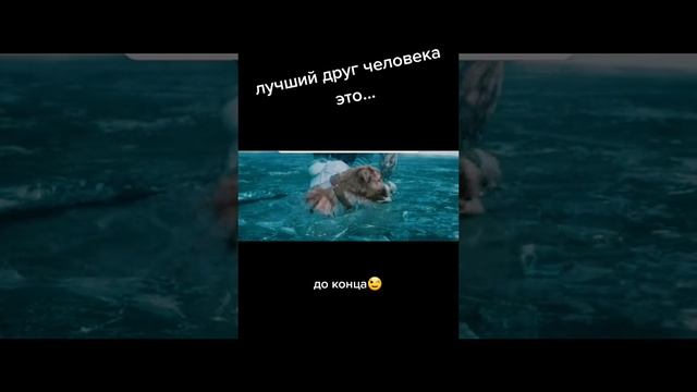 Друг человека