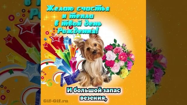 СОБАЧКА ПОДАРКИ БУКЕТЫ И СТИХИ | С ДНЁМ РОЖДЕНИЯ | МУЗЫКАЛЬНАЯ ОТКРЫТКА | ВИДЕО-ПОЗДРАВЛЕНИЕ смотреть онлайн