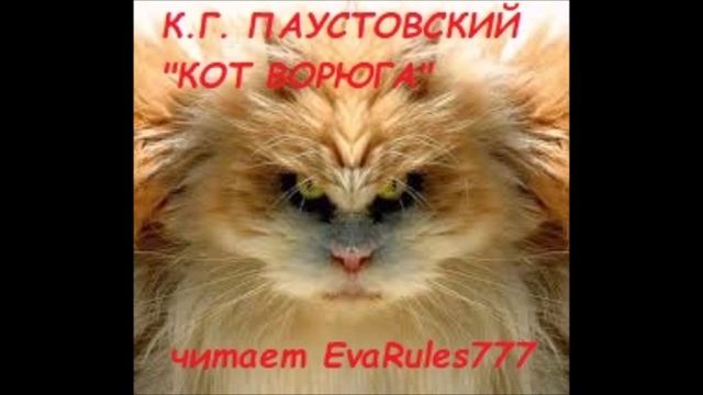 "Кот ворюга" К.Г.Паустовский смотреть онлайн