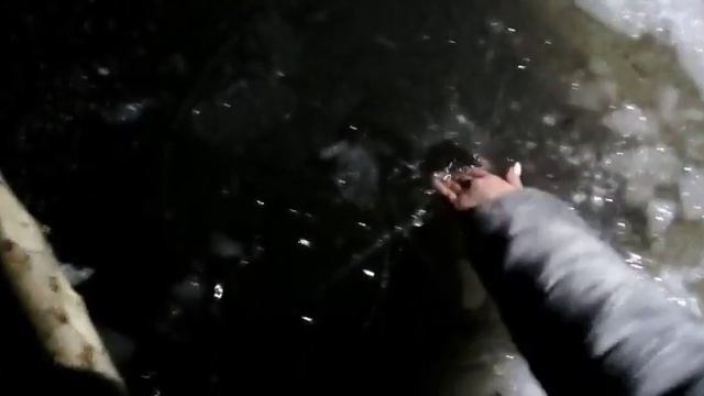 Купаться или нет?🙎🙎🙎😺💛