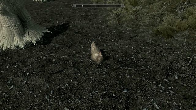 Skyrim - Гнев Довакина: Курица. смотреть онлайн