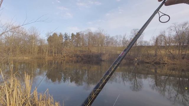 BEST Powerbait Trout Rig/Setup | Rainbow trout fishing for stocked trout in ponds & lakes смотреть онлайн