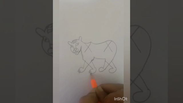 Drawing for kids.simple steps to draw tiger смотреть онлайн