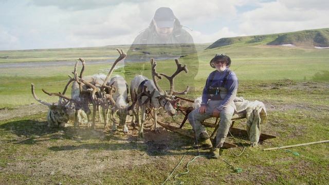 ЛНК_Новогодняя видео открытка смотреть онлайн