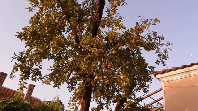 луна 28 07 2021 смотреть онлайн