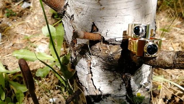 Обручальные Кольца с сапфирами смотреть онлайн