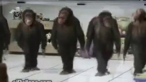 Обезьянки танцуют и поют