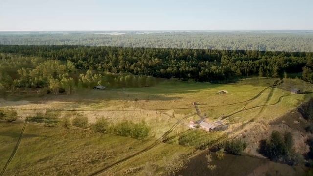 Вид с высоты птичьего полёта на лесной гостевой домик «На Опушке Избушка» смотреть онлайн