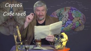 Сергей Савельев про человеческую память
