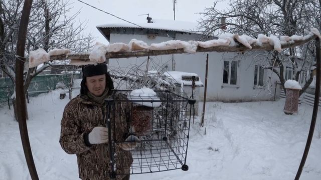 Как защитить кормушку от голубей смотреть онлайн