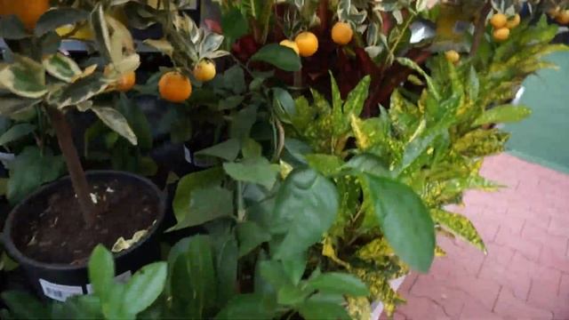 2.В Алматы 30 августа открылся первый в Казахстане гипермаркет OBI