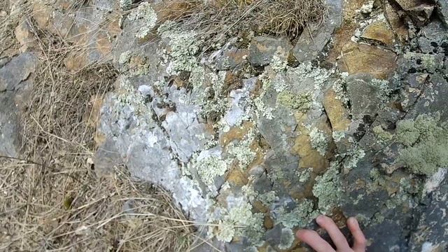 ЛЕЗЕМ МАРШРУТ НА ГОРУ МЕДВЕДЬ КАМЕНЬ. 100 МЕТРОВАЯ СКАЛА. ОКРЕСТНОСТИ НИЖНЕГО ТАГИЛА. СКАЛЫ УРАЛА. смотреть онлайн