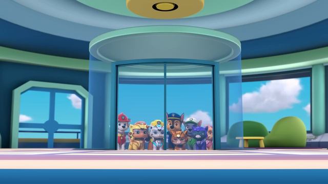 ¡Los Mejores Rescates y Aventura de Cat Pack en PAW Patrol! | Nick Jr. en Español смотреть онлайн