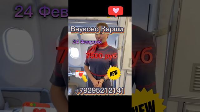 21,02,2023 🇷🇺ВНУКОВО-КАРШИ 🇺🇿 ✈️ A4-7095 смотреть онлайн