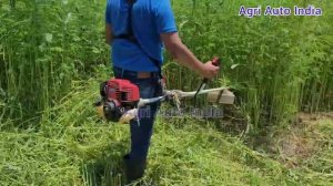 Honda GX 35 Brush Cutter video / performance  / 35.8 cc 4 stroke petrol engine
