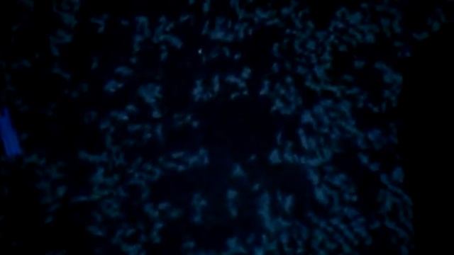 Мотоцикл из лего смотреть онлайн