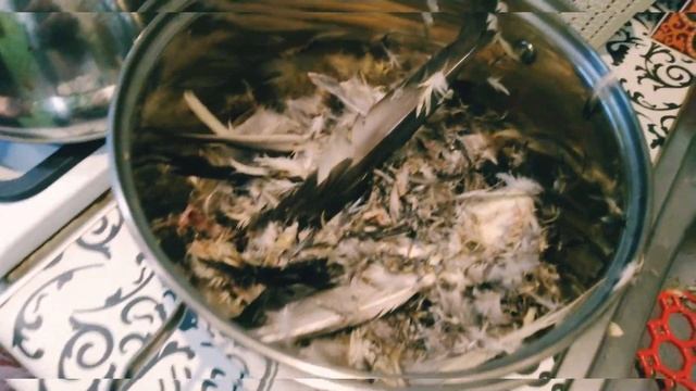 Как разделывать добытую утку смотреть онлайн