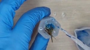 Эпоксидная смола. Какработать.                                ??? эпоксидка???