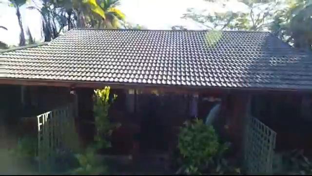 Clivia Clip 2 смотреть онлайн