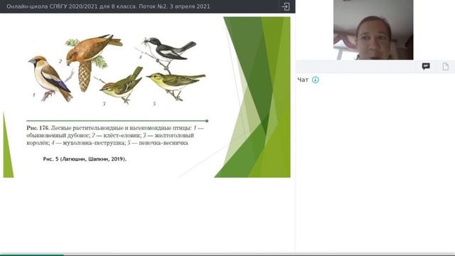 Онлайн-школа СПбГУ 2020/2021. 8 класс. Биология. 03 апреля 2021