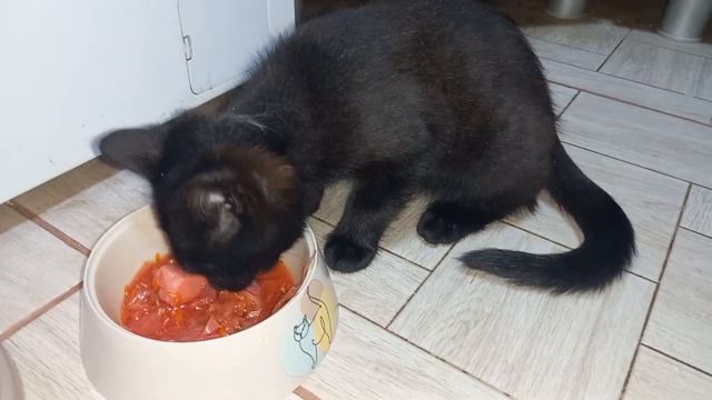 Борщ- это КЛАСС!! Ася рекомендует!???❤️