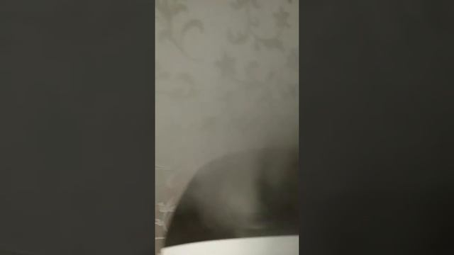 Leberg увлажнитель воздуха смотреть онлайн