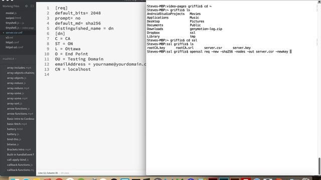 Free HTTPS / SSL Support for MAMP over localhost смотреть онлайн