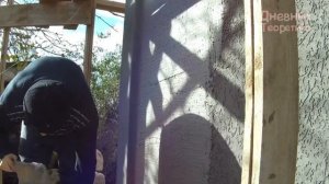 Как нанести короед на утеплённый фасад? Нанесение классического короеда! [№17]