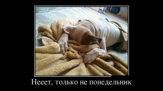 демотиваторы картинки смотреть онлайн смотреть онлайн
