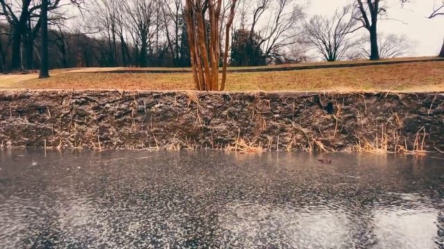 Relaxing Sleep Music For Stress Relief, Anxiety And Depressive смотреть онлайн