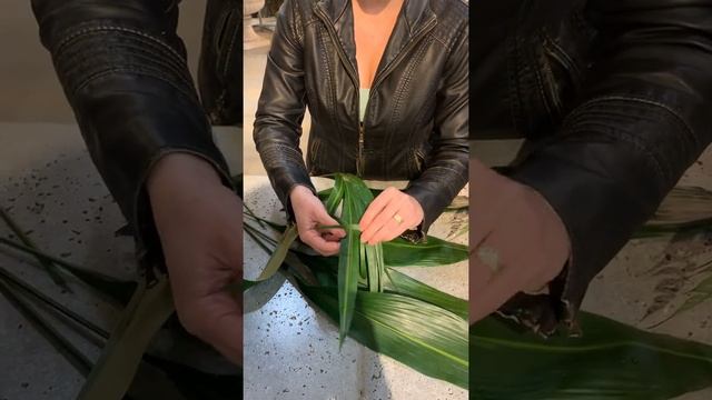 Aspidistra - What It Is & How To Use It смотреть онлайн