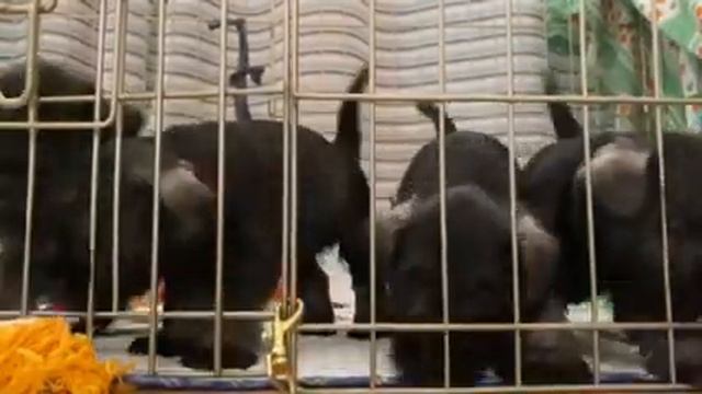 0 02 05 10136d1a3bbdc18722db24a825b0c0dbd7e81f6e7d2926a4e00ac753c0cf069f b6fc0d0ac8cf0912 смотреть онлайн