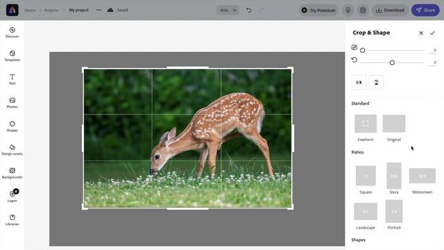 How To Crop An Image In Adobe Express | Adobe Express Tutorial смотреть онлайн