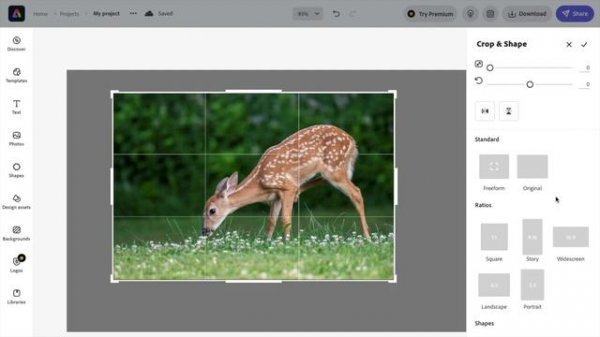 How To Crop An Image In Adobe Express | Adobe Express Tutorial
