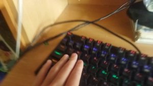 Что делать если кнопки w,a,s,d не печатают?