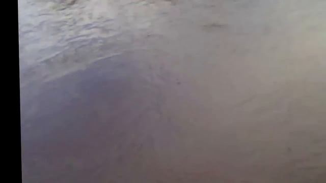 Перемет, как установить перемёт, установка перемета, ловля на перемёт