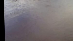 Перемет, как установить перемёт, установка перемета, ловля на перемёт