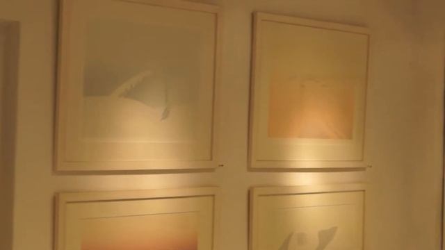 Preview Reception for Tale Art Museum Gallery in Larvik смотреть онлайн