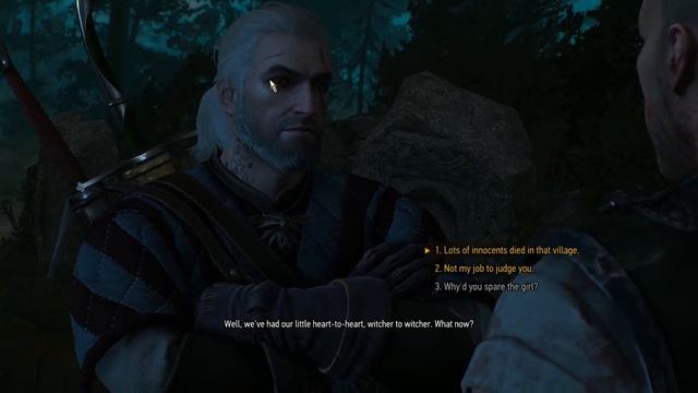 The Witcher 3: Wild Hunt: Game of the Year Edition part 176 - Where the Cat and Wolf Play смотреть онлайн