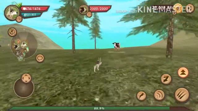 Max Level! | Dog Sim Online | смотреть онлайн